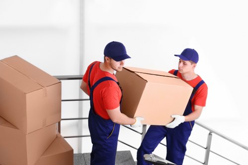 Professional movers handling a household move in Double Bay