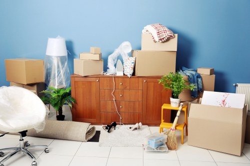 Professional movers assisting with a household move in Croydon Hills