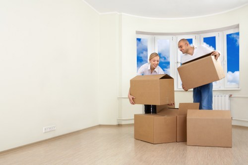 Professional movers assisting with a household move in Woolloomooloo